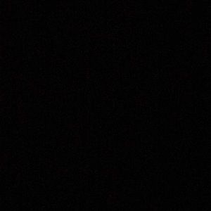 Meet your Posher, Dorothy